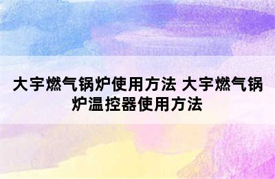 大宇燃气锅炉使用方法 大宇燃气锅炉温控器使用方法